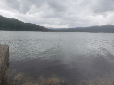 今日もダメでした