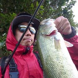 フリーリグでした