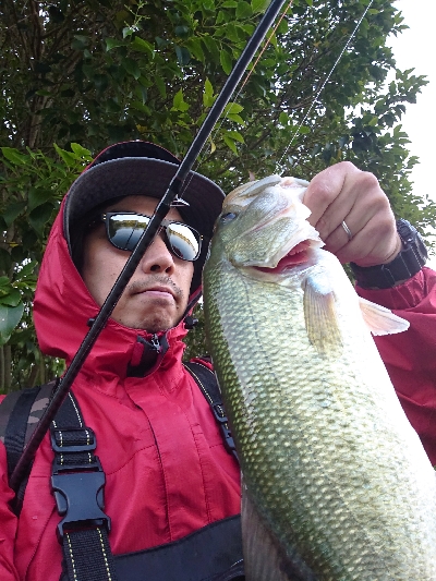 フリーリグでした