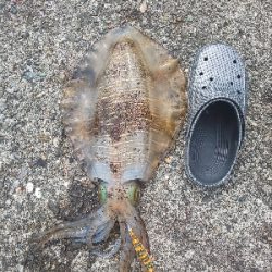 久し振りの当たり方