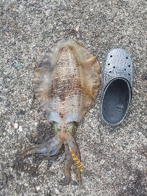 久し振りの当たり方