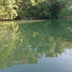 サカマタシーズン