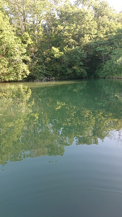 サカマタシーズン