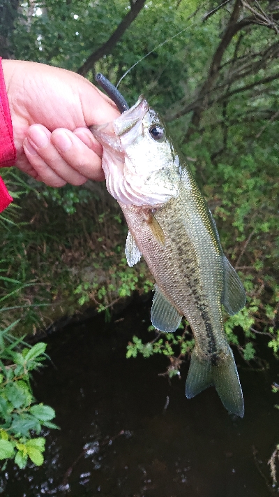 スピニングゲーム