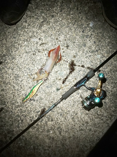 剣、紋、蛸、頭