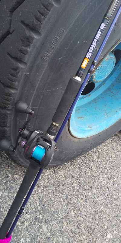 今日は大潮っす！