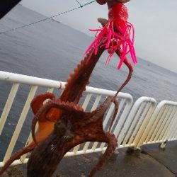 またまた雨との戦い