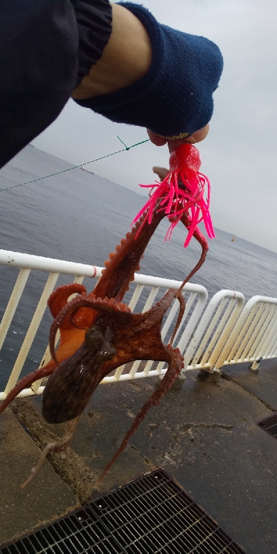 またまた雨との戦い