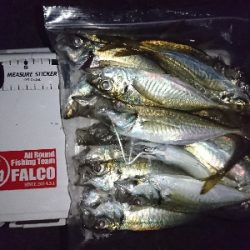 フロートアジング