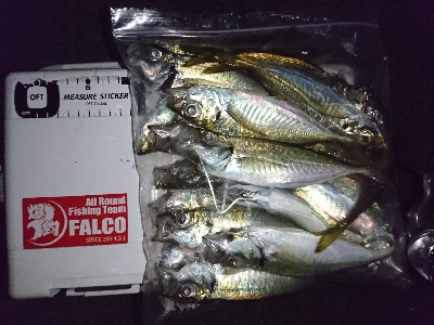 フロートアジング