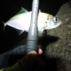 いつまで続く？