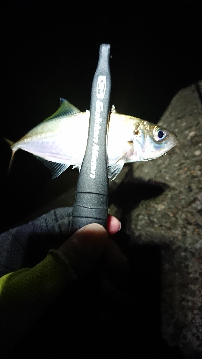 いつまで続く？