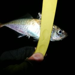 だいぶ渋くなった