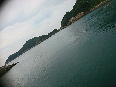 キスからのヒラメ…不発弾(゜ロ゜;