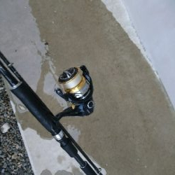 カマス祭りに遭遇！！おまけにアジも！！