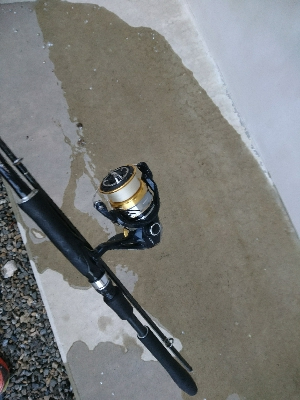 カマス祭りに遭遇！！おまけにアジも！！