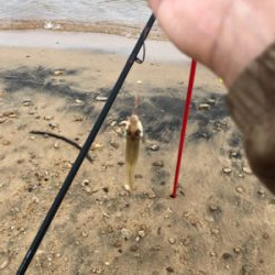 チョイ投げキス