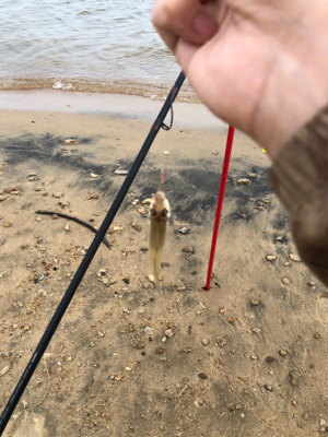 チョイ投げキス