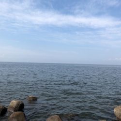 デイゲームで反応良し