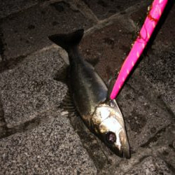 当たりはある！