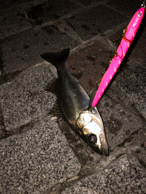 当たりはある！