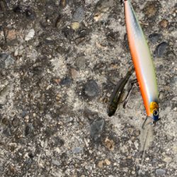 ハクパターン？