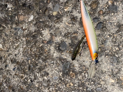 ハクパターン？