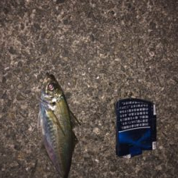 夕まづめ短時間