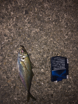 夕まづめ短時間