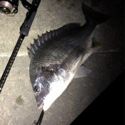 ジャークでドン！