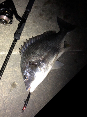 ジャークでドン！