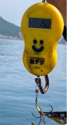 春のラストアオリ