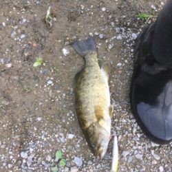 まさかのスモール