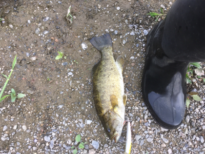 まさかのスモール