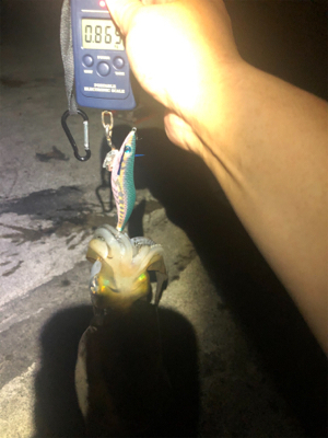 Newロッド墨付け