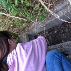 4回目にしてやっとうなぎ