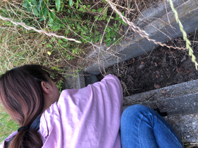 4回目にしてやっとうなぎ