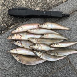 キスちょい投げ