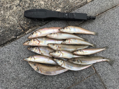 キスちょい投げ