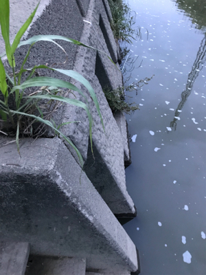 スピナーベイト　ブラックバス