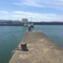 ヒラメ一匹釣れました^_^