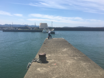 ヒラメ一匹釣れました^_^