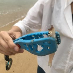 大三島キス釣り調査