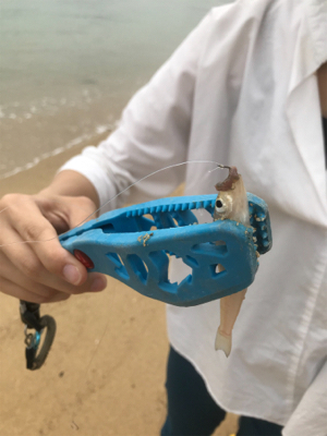 大三島キス釣り調査