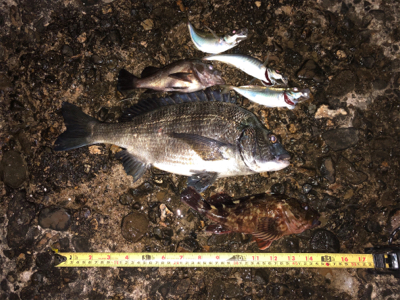 嬉しい外道•*¨*•.¸¸☆*･ﾟ