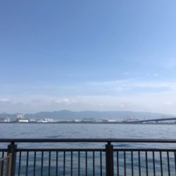 平日でも人が多い❗️青物どこ❓