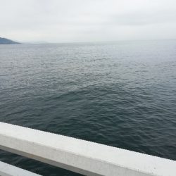 ファミリーフィッシング