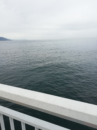 ファミリーフィッシング