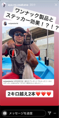 ステイゴールド　タコ　　