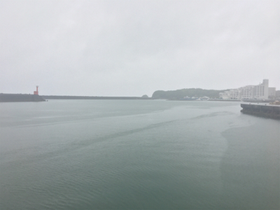 大雨の中のダツ85センチ